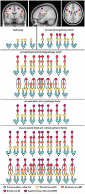 Prediction of Speech Sounds Is Facilitated by a Functional Fronto-Temporal Network